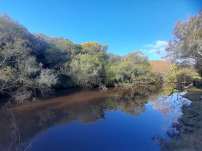 Chacra de 14ha Pueblo Eden