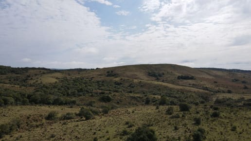 Campo en Rocha 78ha