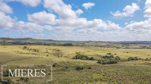 Campo de 77ha en Garzon Maldonado