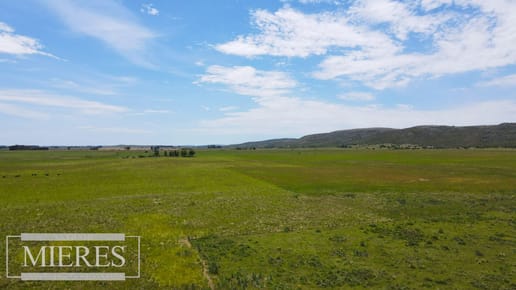 Campo Agrícola Ganadero 110ha Maldonado