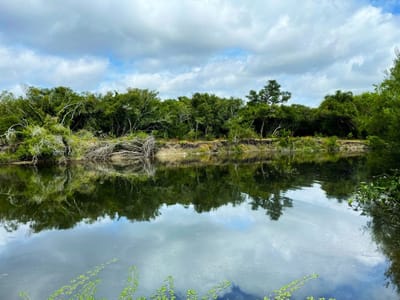 Campo en venta de 63 ha en Maldonado Uruguay