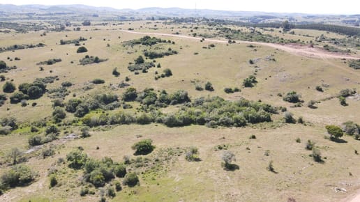 Chacras Lucero del Edén, 5Ha  ruta 12
