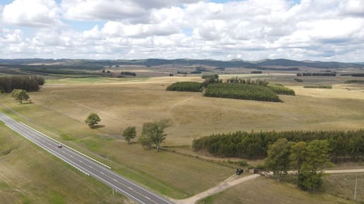 Campo en Lavalleja de 228ha