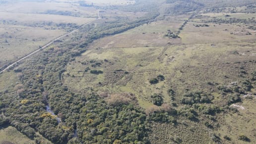 Campo de 55ha en Maldonado