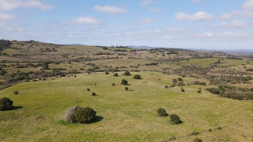 Establecimiento completo de 51ha Pueblo Edén ref 7082