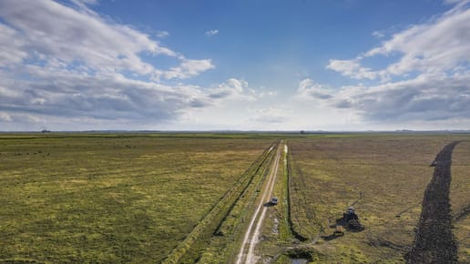 Venta campo 740 hás Rocha agrícola ganadero R 7085