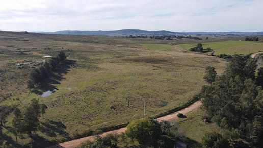 Chacra de 6ha en Punta Ballena