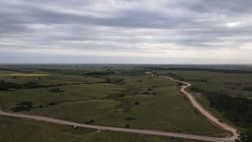 Campo de 42ha Altos de José Ignacio, Garzón