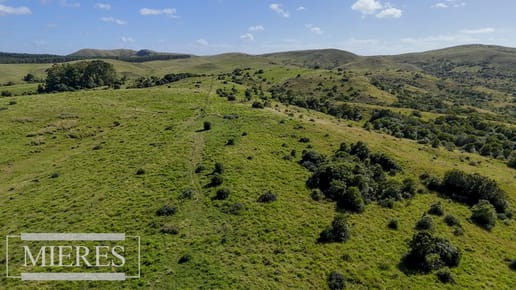 Campo de 112ha en Rocha Ganadero Forestal.