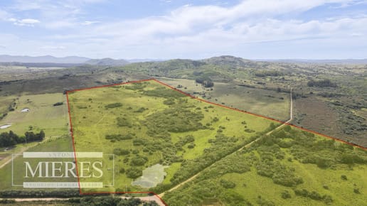 Campo de 40ha Maldonado, con arroyo y vista a las Sierras