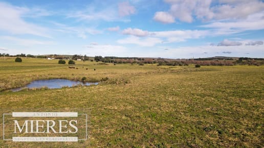 Campo de 114ha en Puntas de José Ignacio