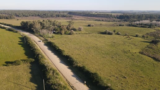 Campo de 38 ha en Solis de Mataojo