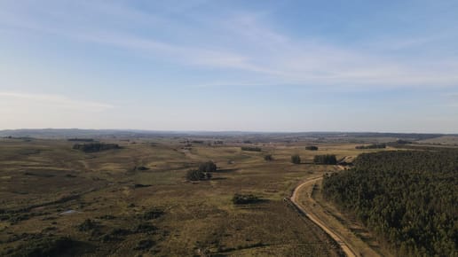 Campo de 21 ha en Punta de José Ignacio, Maldonado