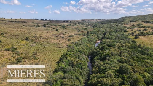 Campo de 19 ha al norte de José Ignacio con arroyo