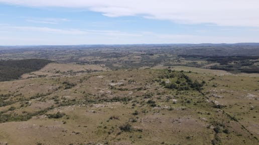 Campo de 119ha panorámico en Maldonado