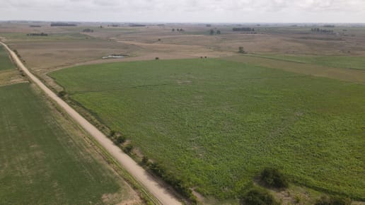 Campo en venta de 150 ha Agrícola Ganadero en Florida