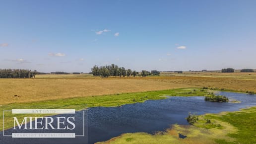 Campo  Ganadero Agrícola de 1200ha en Treinta y Tres