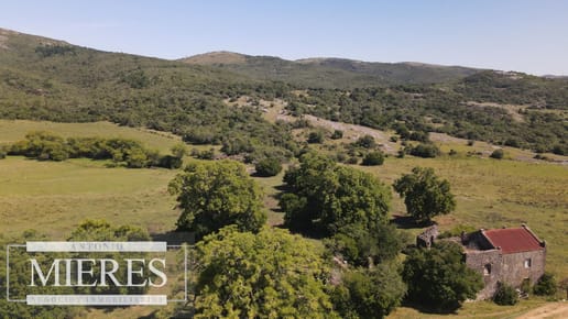 Campo en venta 173 ha en Aguas Blancas