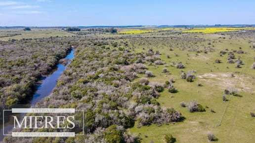 Campo de 180ha en Paysandú Agrícola Ganadero