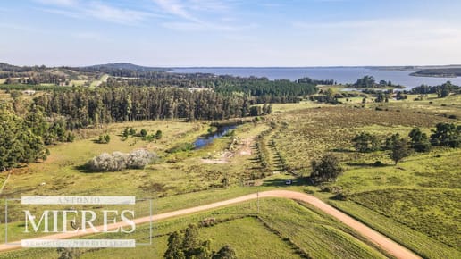 Chacra de 10ha en Laguna del Sauce Maldonado
