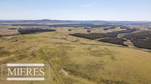 Campo en venta de 109 ha Partido Norte, Maldonado
