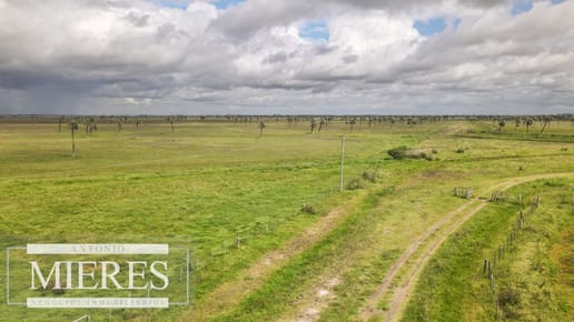 Campo en Rocha ganadero agrícola 125ha