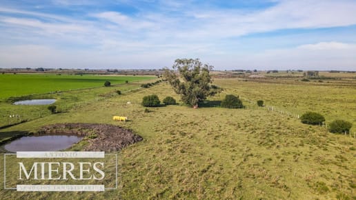 Chacra en venta de 13 ha ubicada en Corte de la Leña