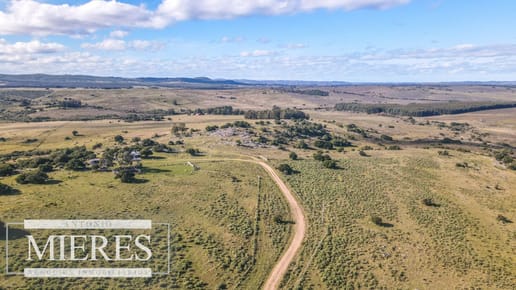 Campo en venta de 34 ha Pan de Azúcar, Maldonado.