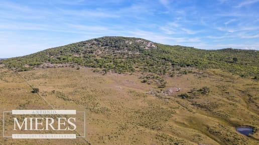 Campo en venta de 33 ha a 6 km de Pan de Azúcar