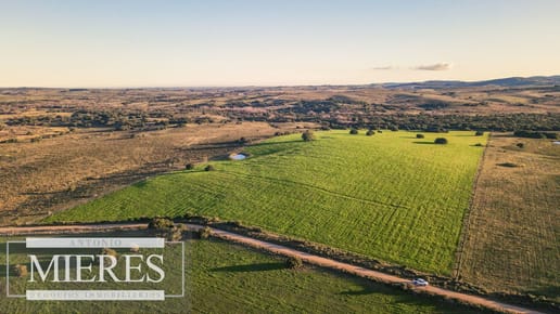 Campo en venta de 20 ha con costa al arroyo José Ignacio
