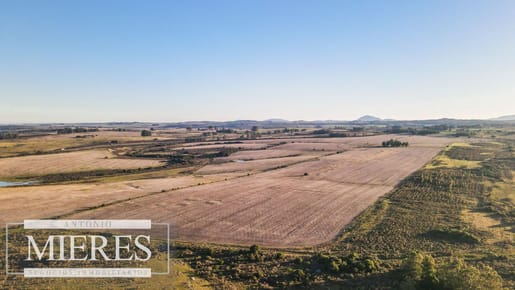 Campo en venta de 33 ha Próximo a laguna del Sauce