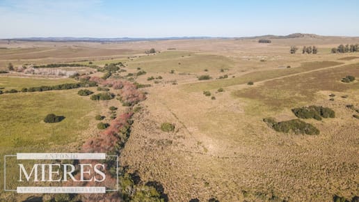 Campo en venta de 164 ha Maldonado, Uruguay