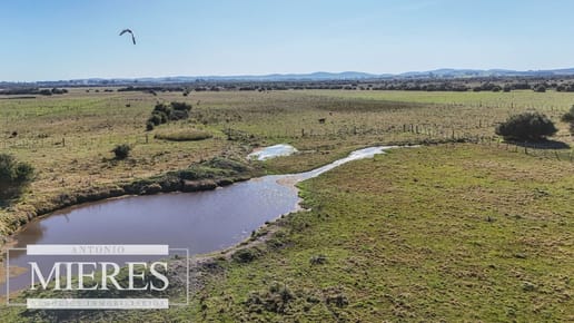 Venta de campo 26 ha Maldonado, Uruguay.