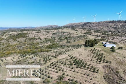 Campo en venta en Maldonado