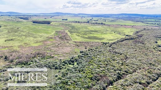 Campo en venta en San Carlos
