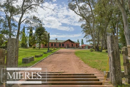 Chacra de 100ha con  importante casa en Maldonado