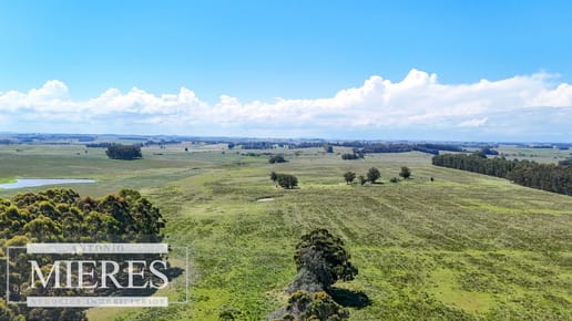 Campo de 31 ha en José Ignacio, Maldonado Uruguay.