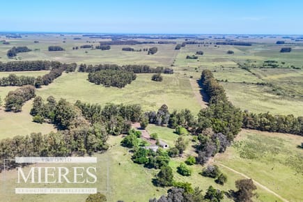 Campo en venta de 360 ha Las Garzas, Maldonado.