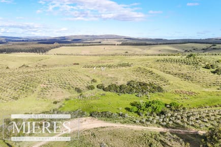 Chacra de 7ha con olivos en Pueblo Eden Maldonado