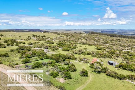 Campo en venta de 153 ha en Villa Serrana