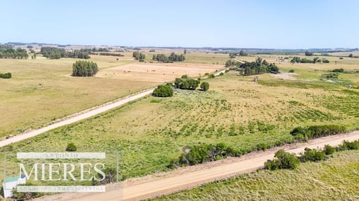 Chacra en venta de 5 ha en puntas de José Ignacio