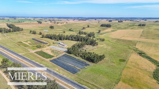 Campo en venta de 59 ha sobre ruta 9 a 15 min de José Ignacio