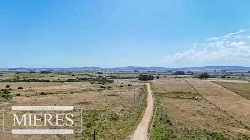 Campo en venta de 49 ha Maldonado, Uruguay.