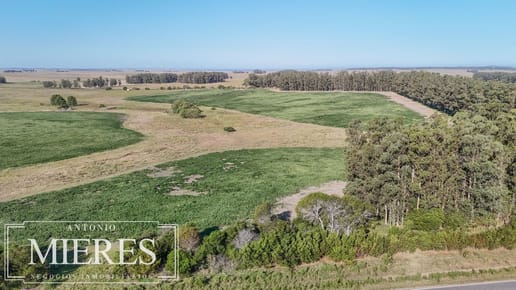 Campo en venta de 147 ha en las Garzas José Ignacio Uruguay.