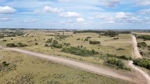 Campo en venta de 30 ha Garzón, Uruguay.