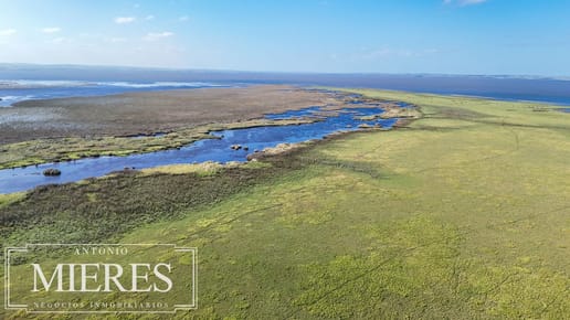 Campo en venta de 750 ha ganaderas en Rocha, Uruguay.