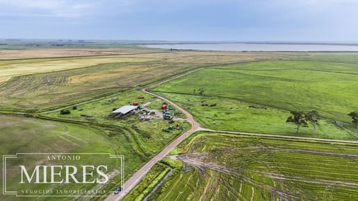 Campo en venta de 625 ha Rocha, Uruguay