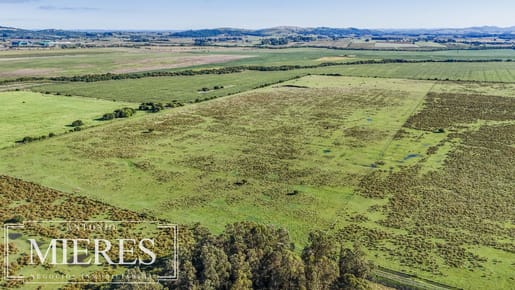 Chacra de 16 ha en venta, Zona Lapataia, Maldonado Uruguay.