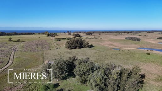 Campo en venta de 24 ha en ruta 10 las Garzas Rocha Uruguay