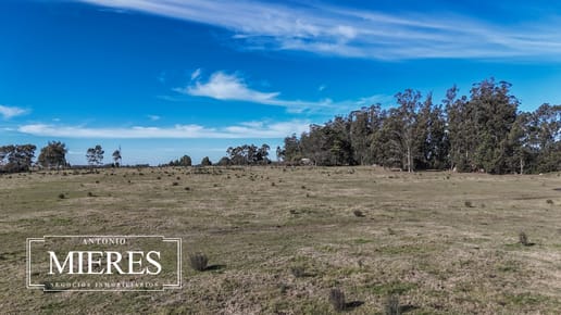 Chacra de 5 ha en venta Lapataia, Maldonado Uruguay.
